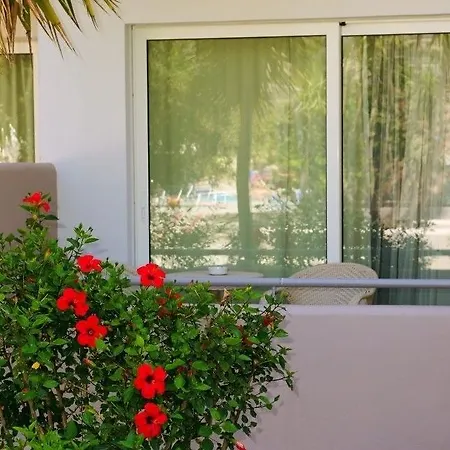 Ξενοδοχείο Asteras 4*