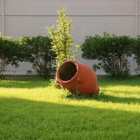 Asteras 4* Kardamena (Kos)